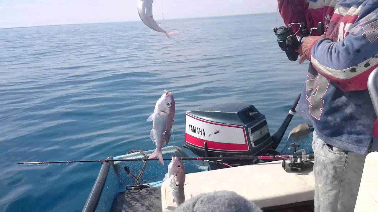 pèche en mer